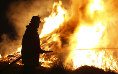 IDEAS launches website to support people with disability during bushfire crisis