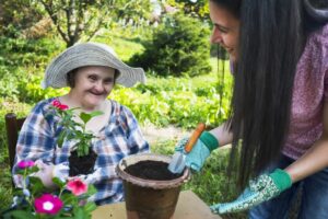 Allambie Heights Hub Gardening